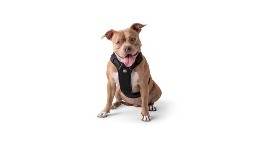 GF PET Travel Harness -Black (size: XL)
